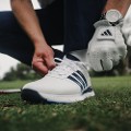 White/Blue